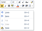 Mini-Toolbar