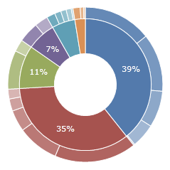 Hierarchical Pie Chart